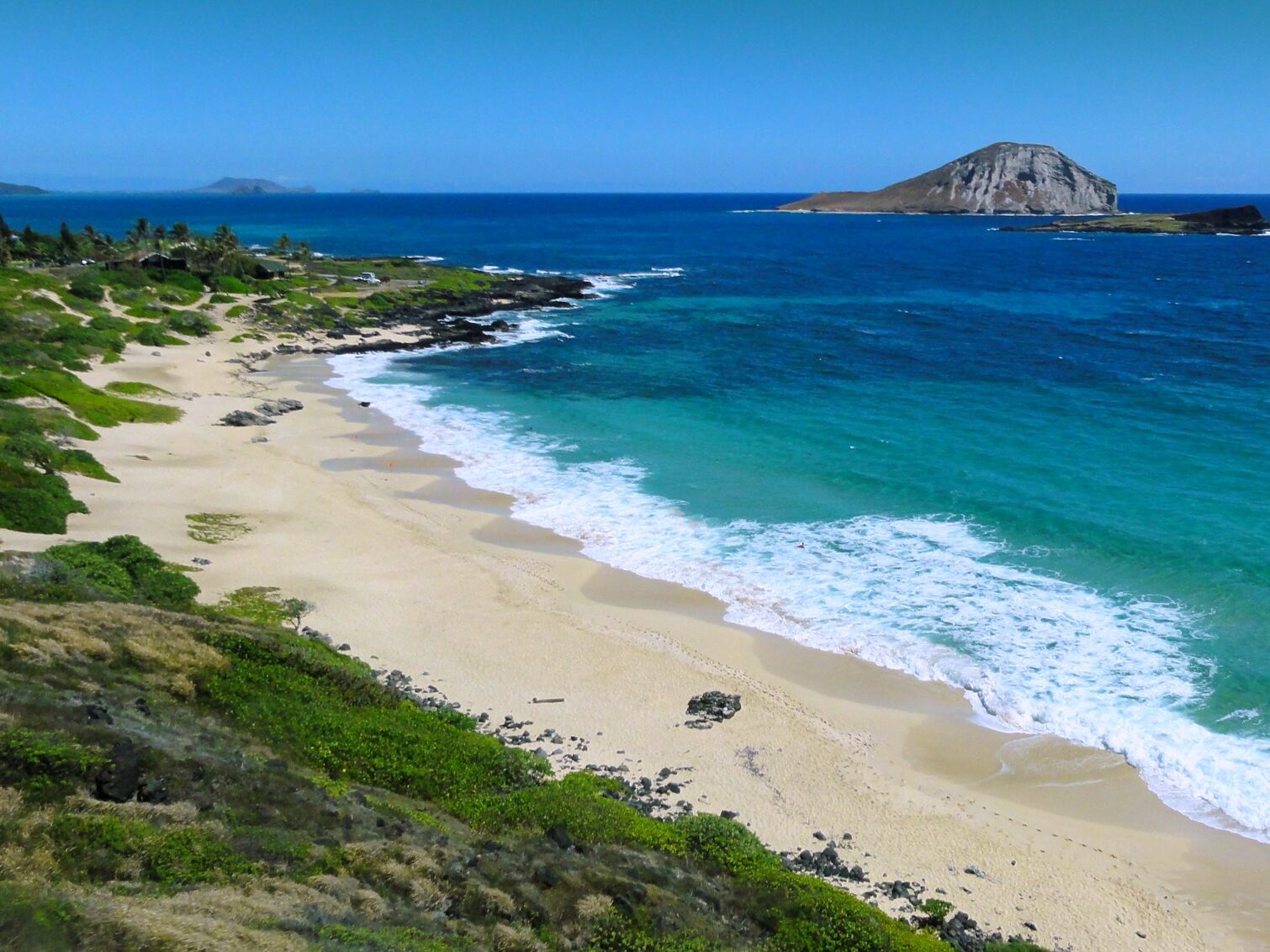 Picture of Makapuʻu Beach Park