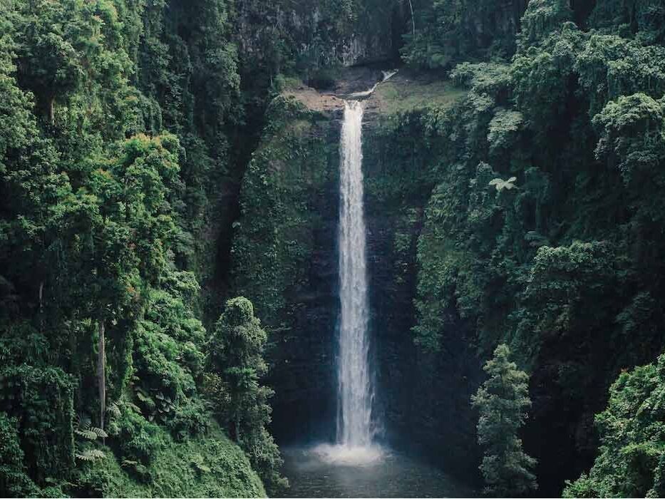 Picture of Sopo'aga Falls Viewpoint