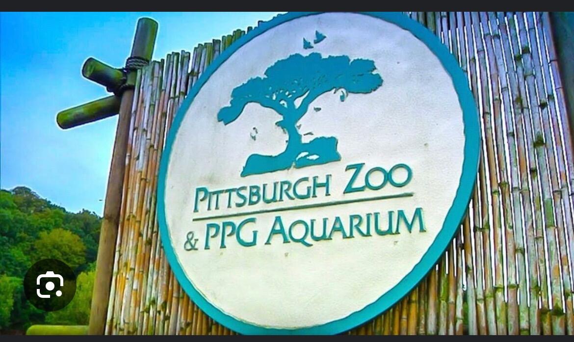 Picture of Pittsburgh Zoo & Aquarium