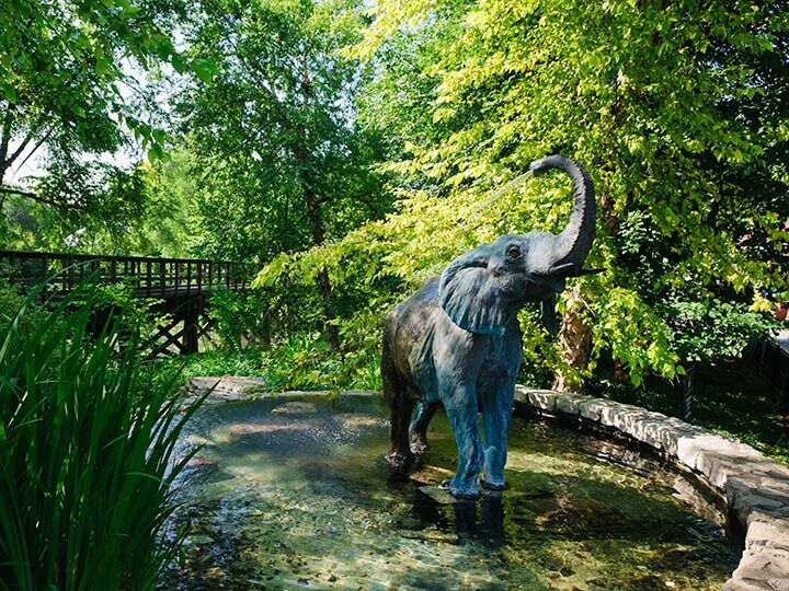 Picture of Saint Louis Zoo