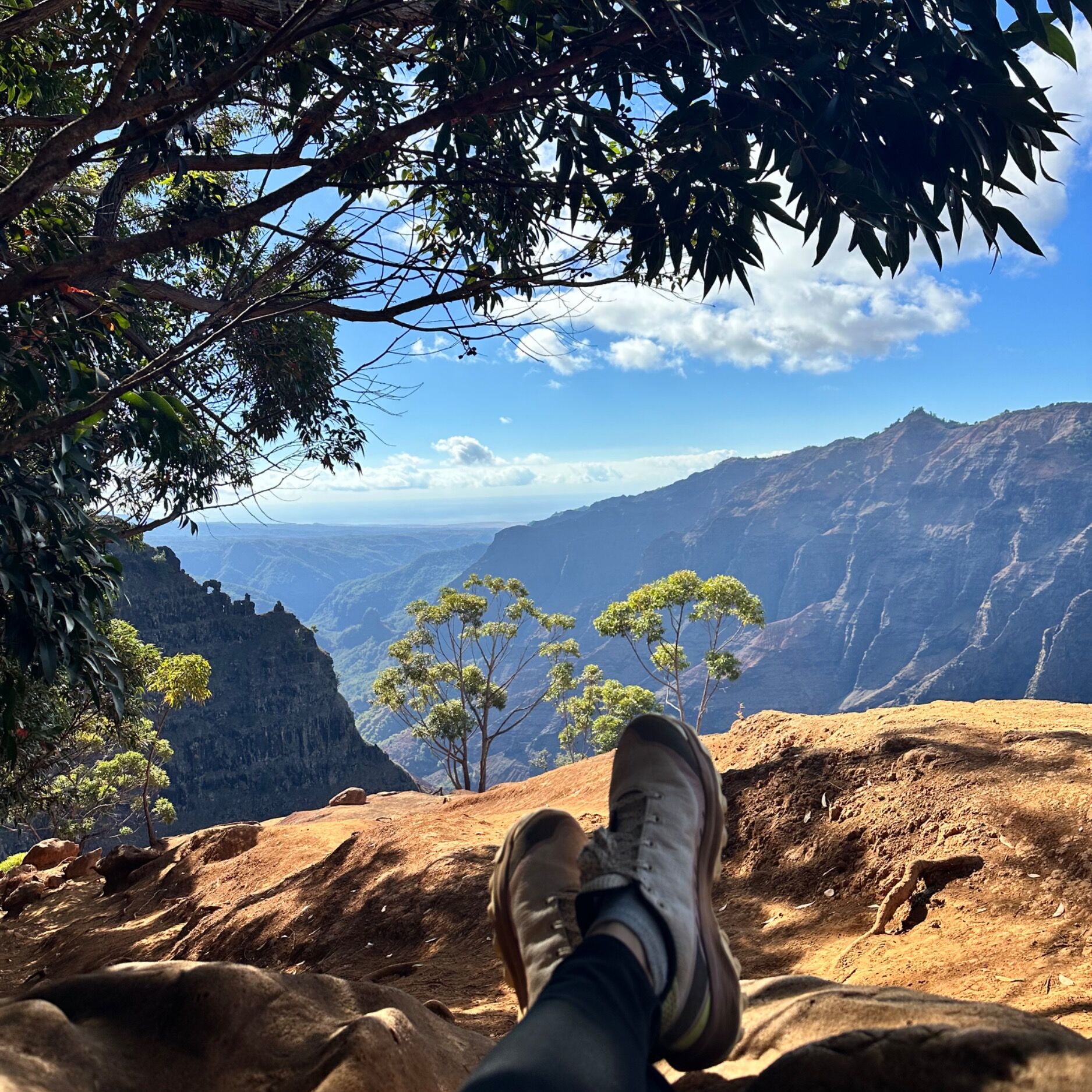 Picture of Waipi'o Valley