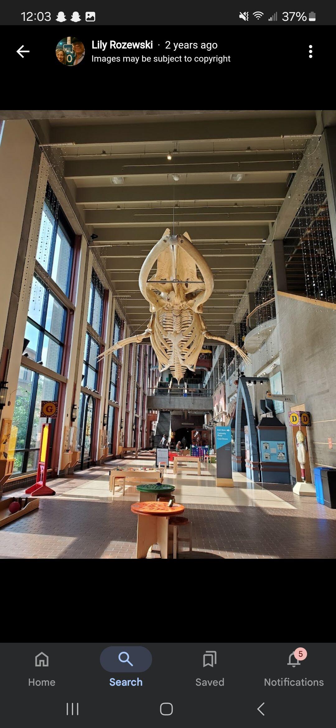 Picture of Grand Rapids Public Museum