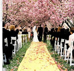 The Ceremony