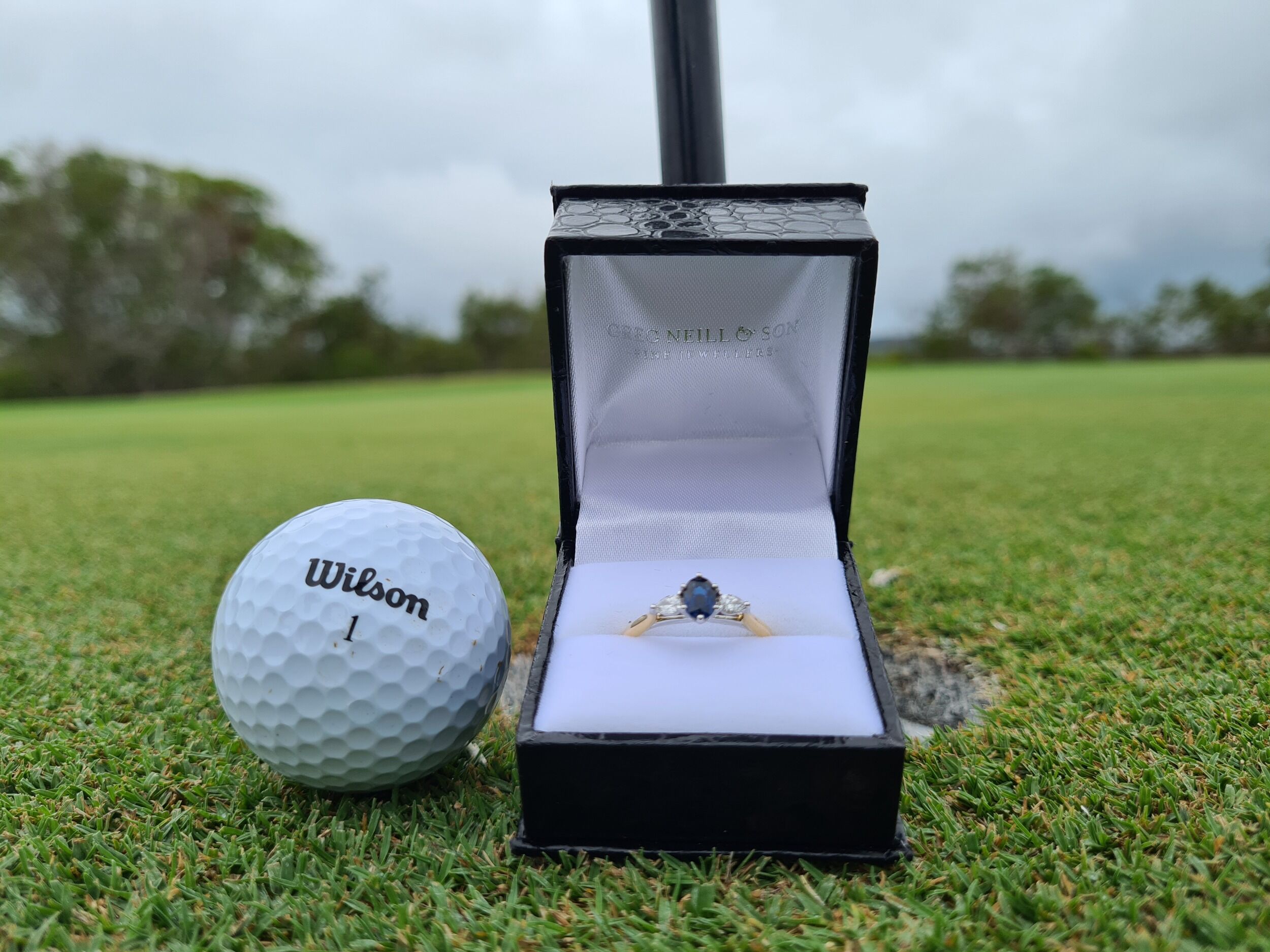 Picture of The Proposal