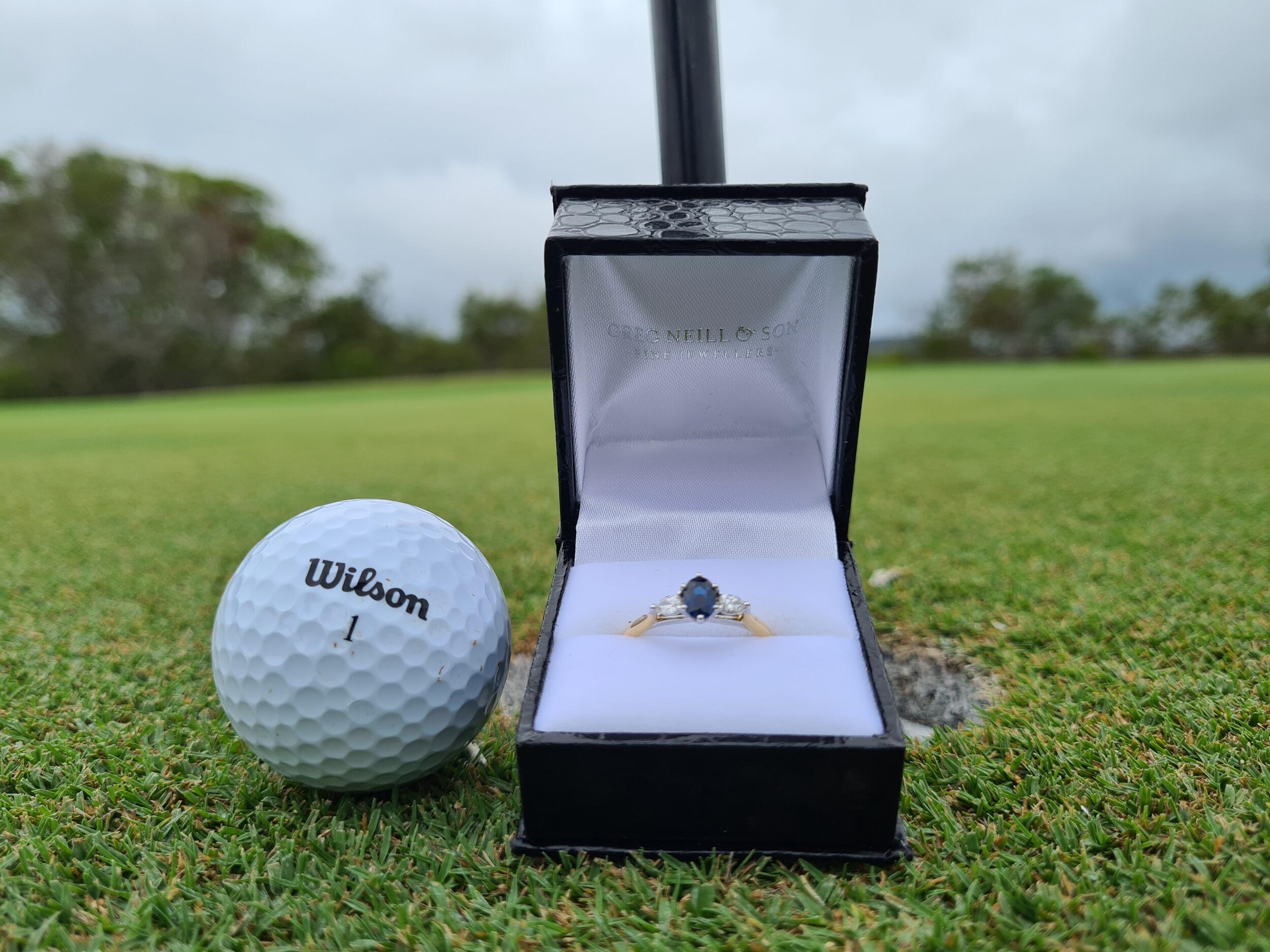 Picture of The Proposal