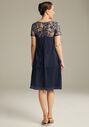 AW Bridal AW Kathryn Dress Blue Mother Of The Bride Dress - thumbnail - 4