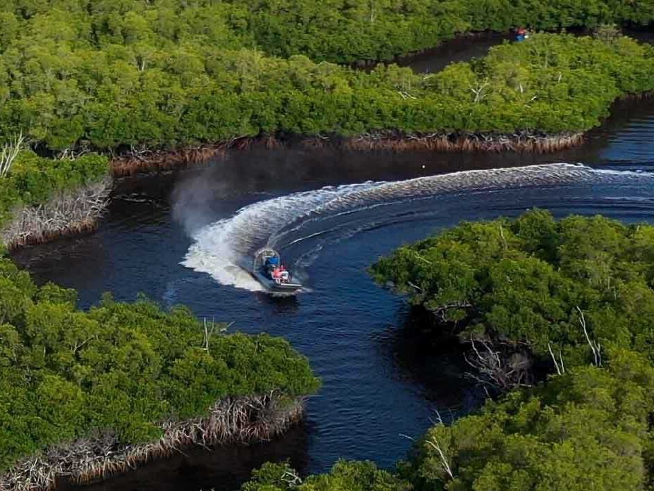 Picture of Everglades Day Safari - Fort Lauderdale