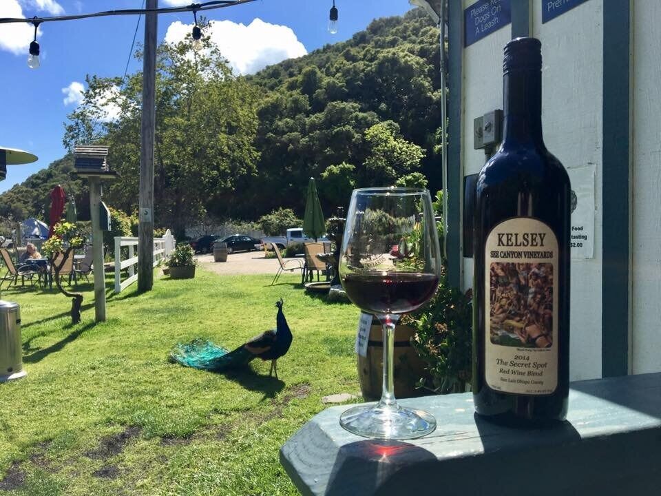 Picture of Kelsey See Canyon Vineyards