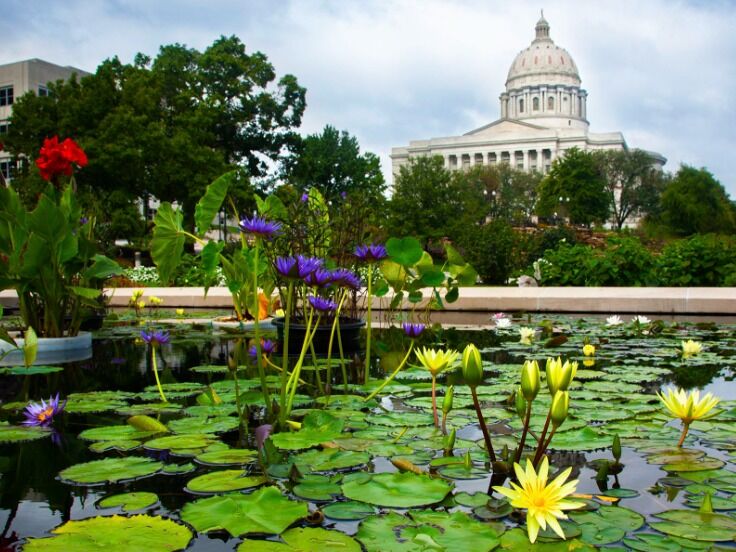 Picture of Carnahan Memorial Garden