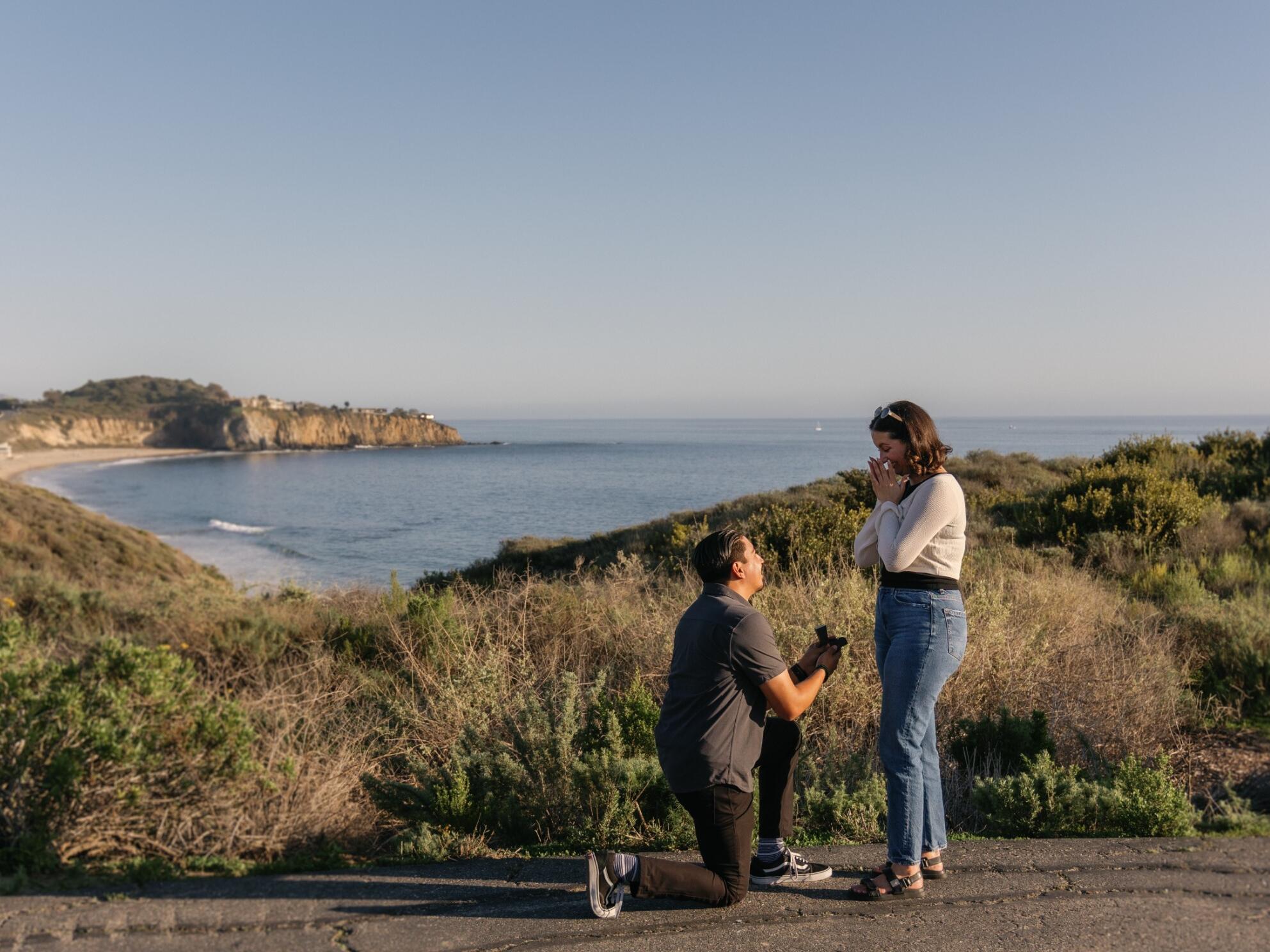 Picture of The Proposal