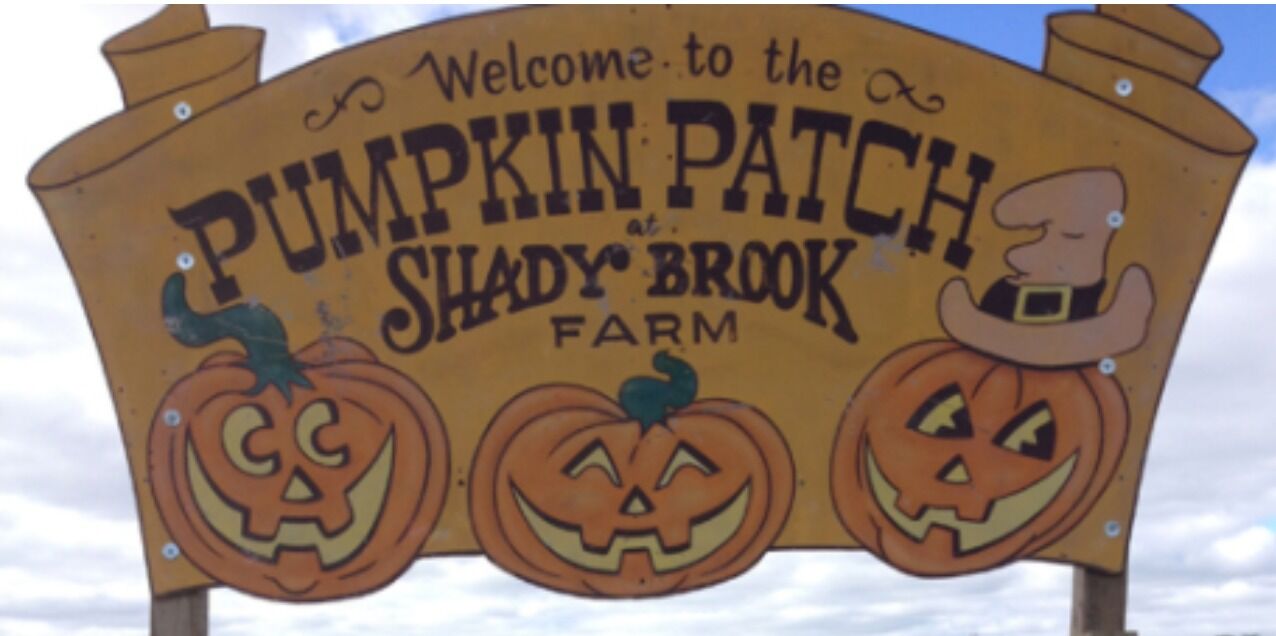 Picture of Shady Brook Farm