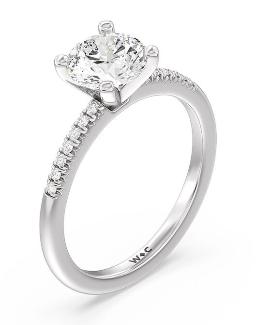 With Clarity Classic Princess, Asscher, Cushion, Emerald, Marquise, Pear, Radiant, Round, Oval Cut Engagement Ring - 2