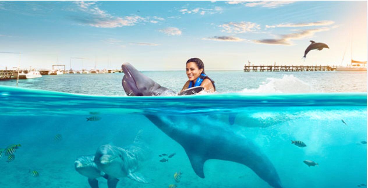 Picture of Swim with the Dolphins at Isla Mujeres