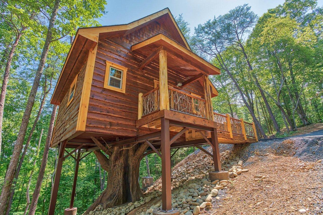 Picture of Treehouse