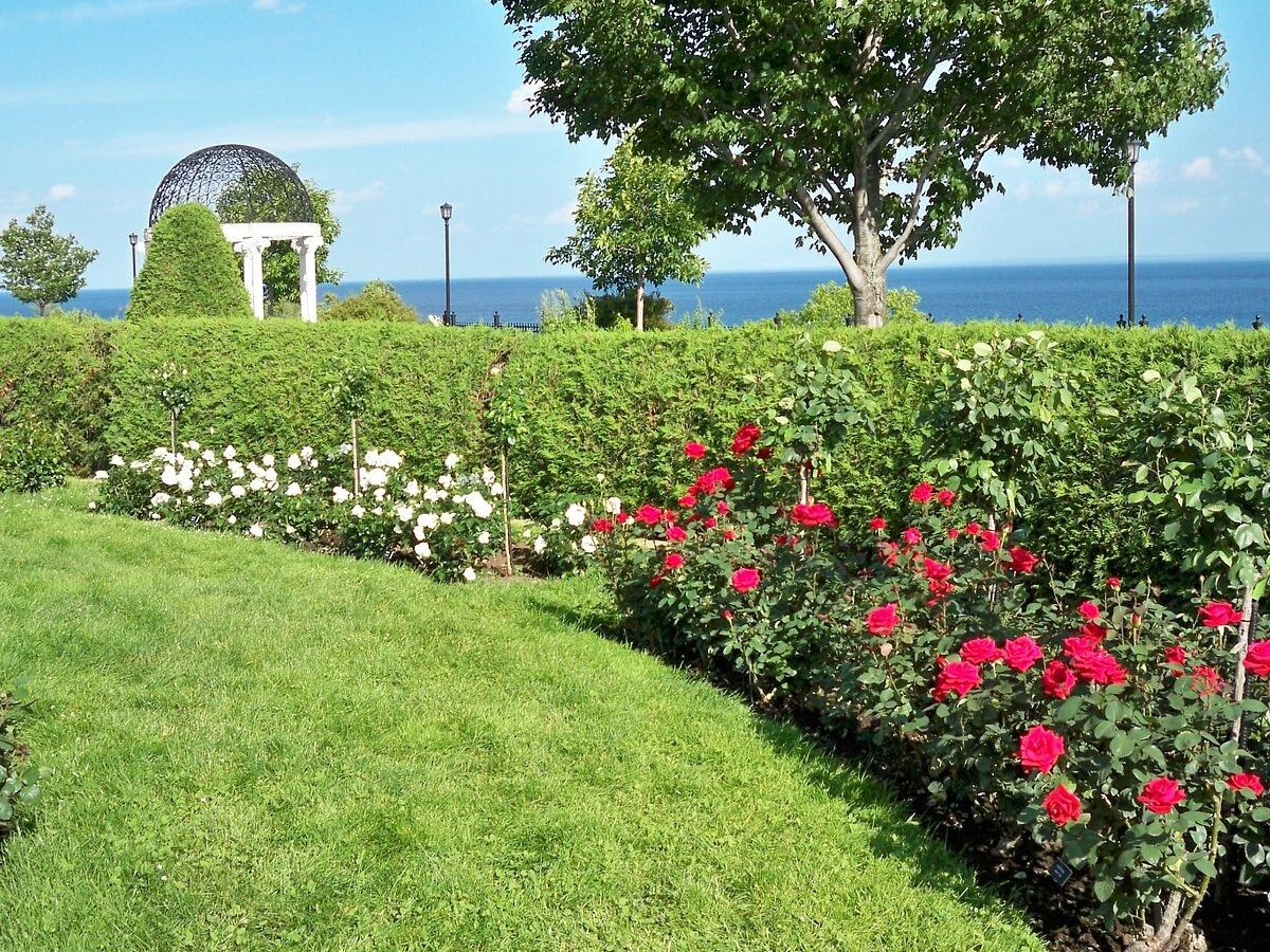 Picture of Leif Erikson Park