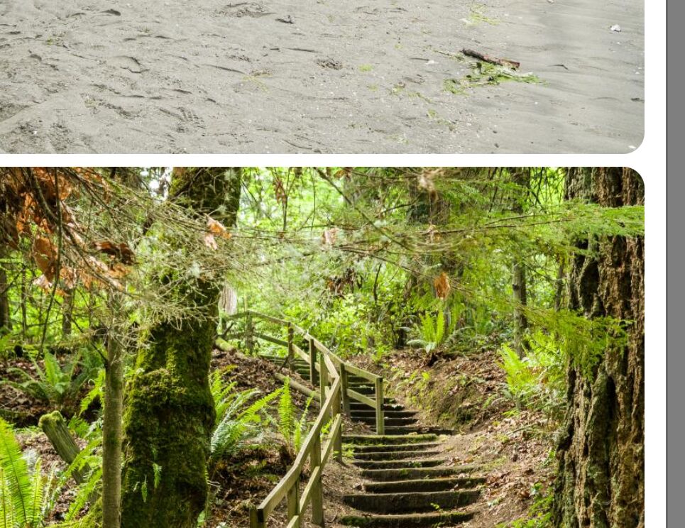 Picture of Illahee State Park