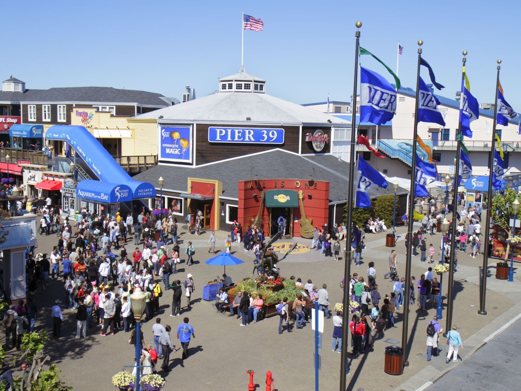 Picture of PIER 39
