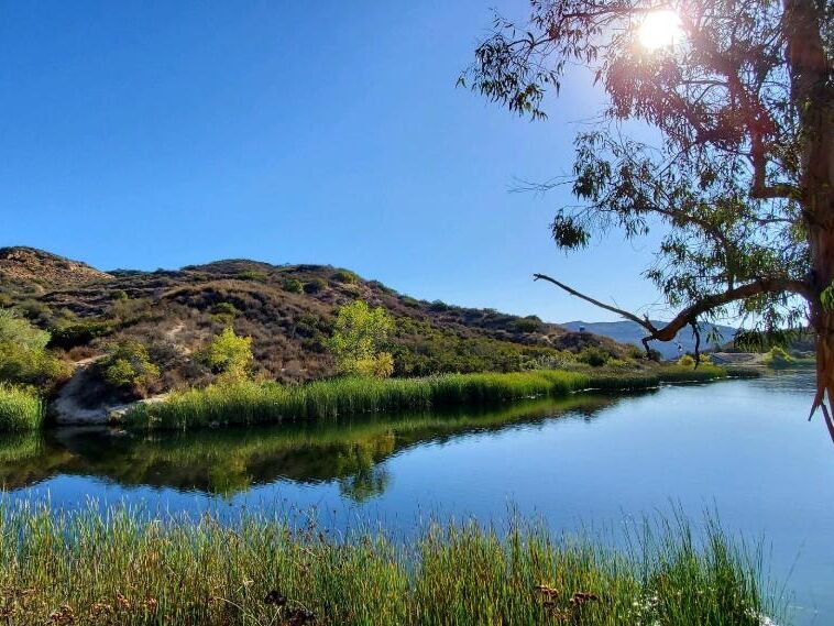 Picture of Dixon Lake