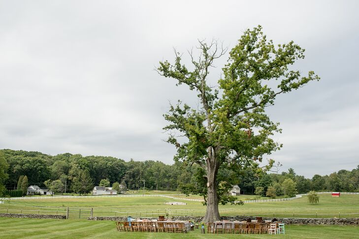 Outdoor Ceremony Under an Oak Tree on a Horse Farm