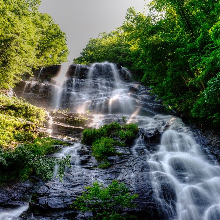 Picture of Amicalola Falls State Park