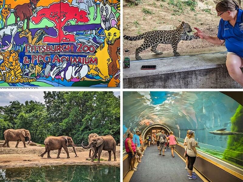 Picture of Pittsburgh Zoo & Aquarium