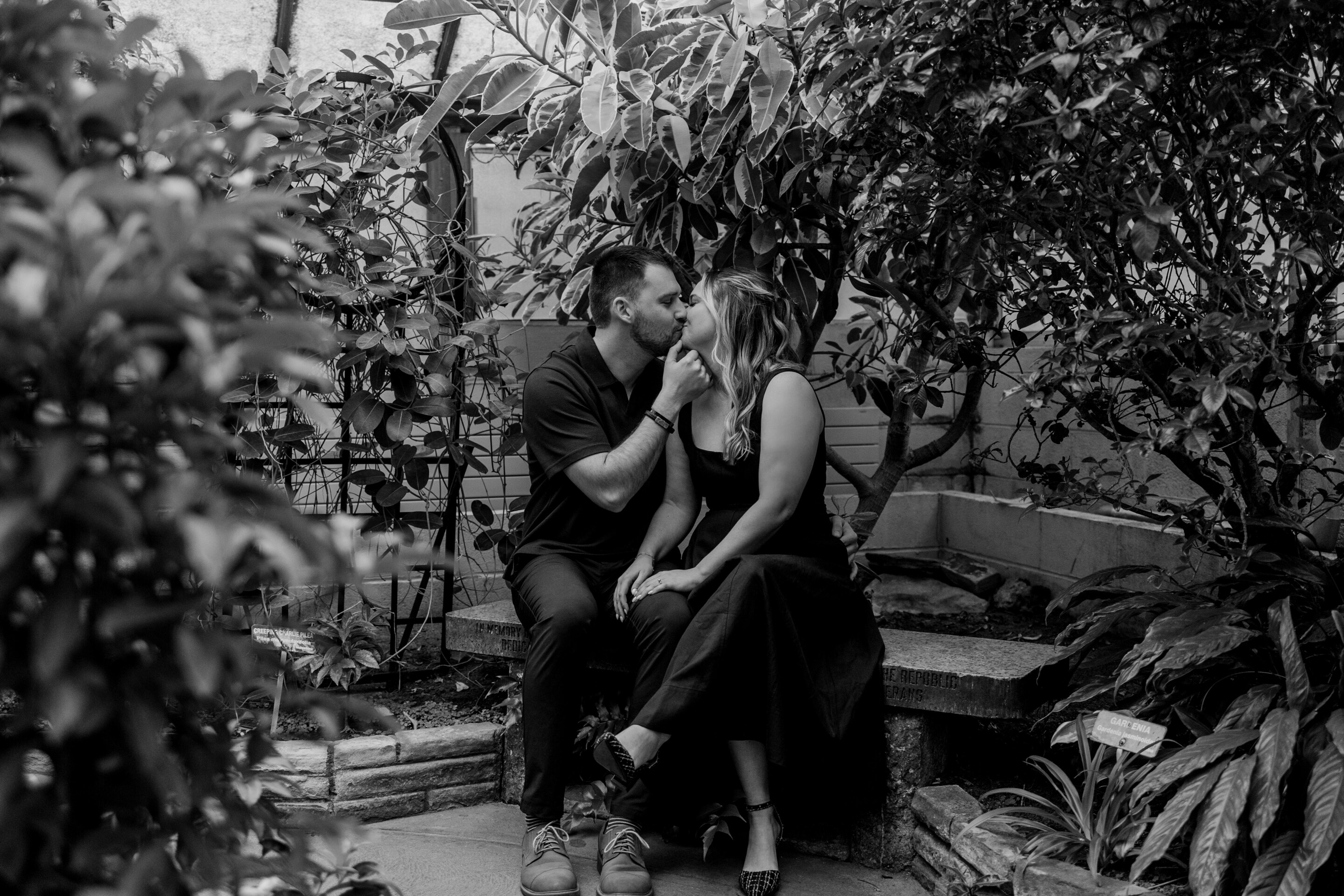 Dejan & Cara Home Page Banner