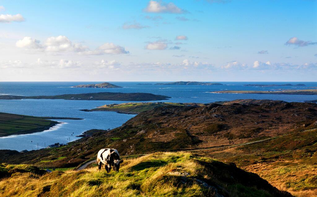 Picture of Sky Road Clifden