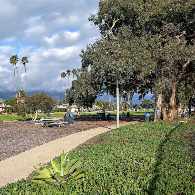 Picture of Shoreline Park