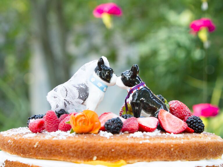 Two Boston terriers in bride and groom attire as wedding cake toppers. 