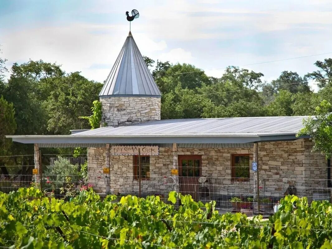 Picture of Dry Comal Creek Vineyards