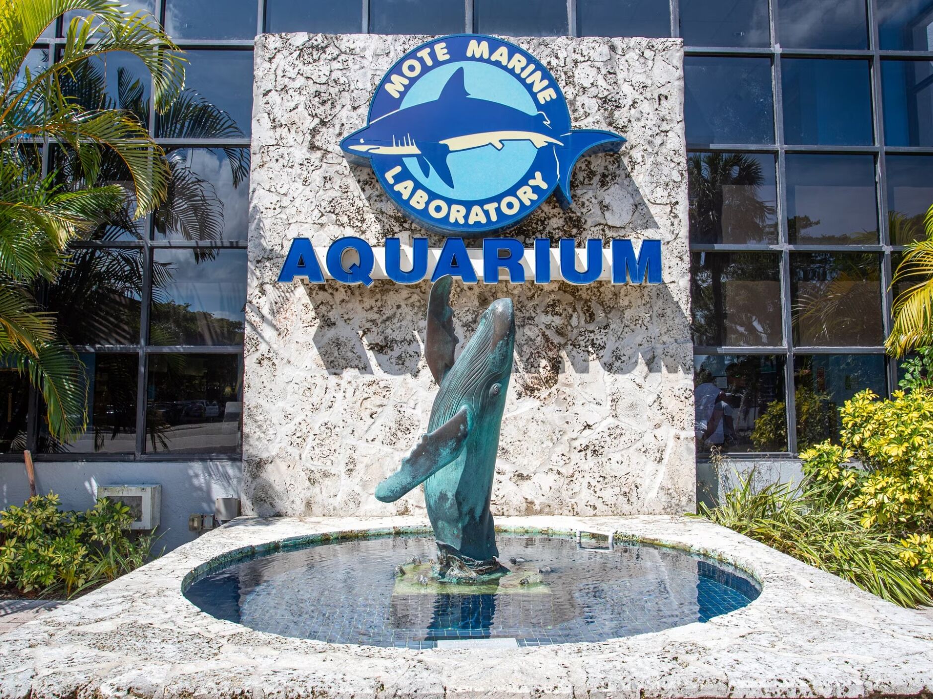 Picture of Mote Marine Laboratory & Aquarium