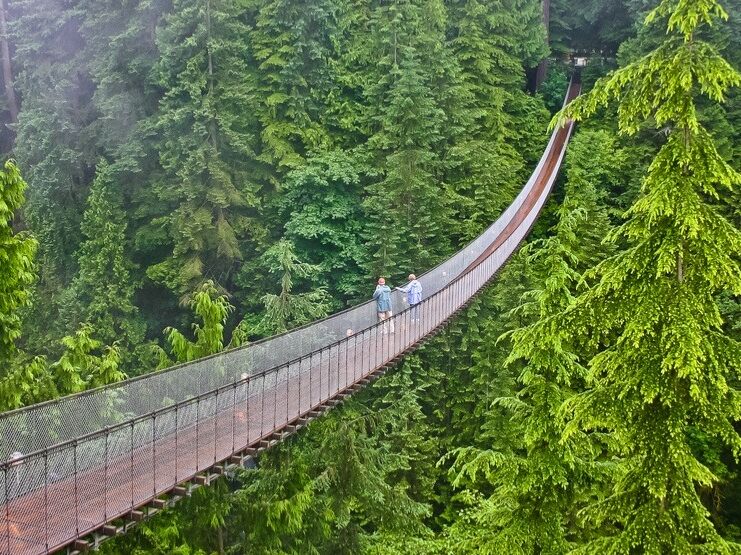 Picture of Capilano Suspension Bridge Park