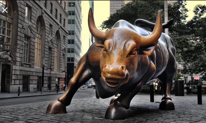Picture of Charging Bull