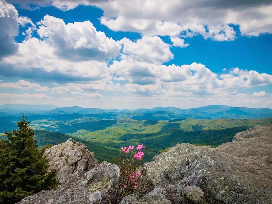 Picture of Grandfather Mountain State Park