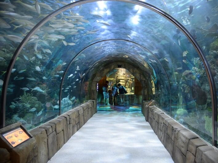 Picture of Audubon Aquarium