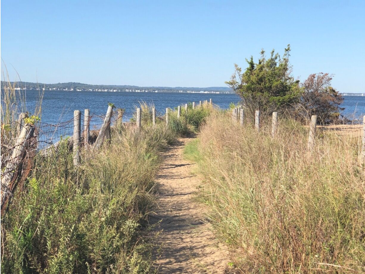 Picture of Sandy Hook – Gateway National Recreation Area