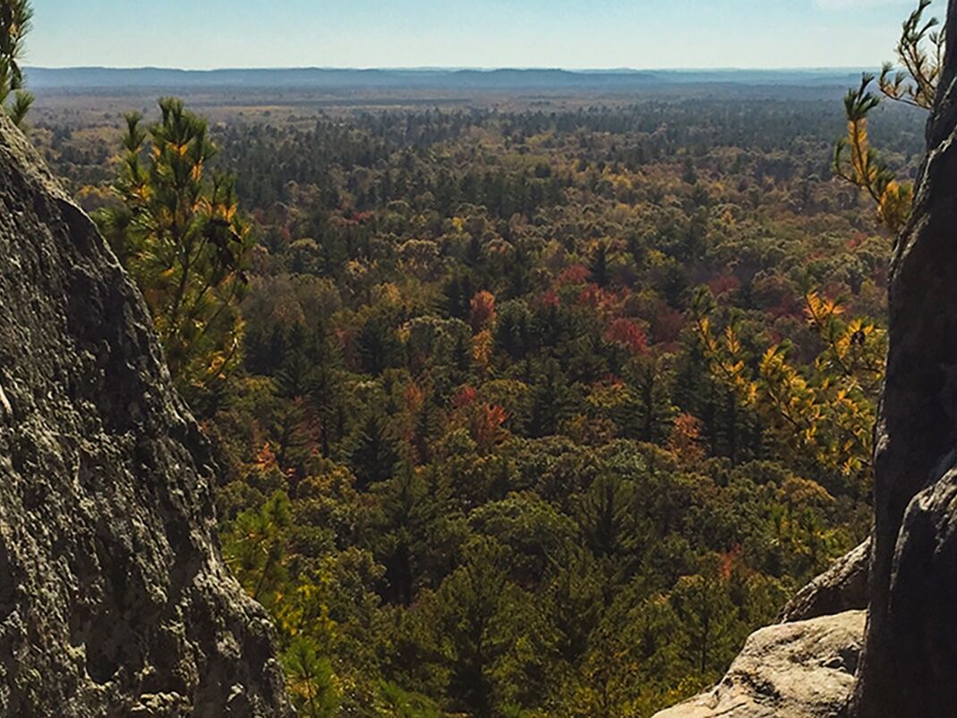 Picture of Black River State Forest
