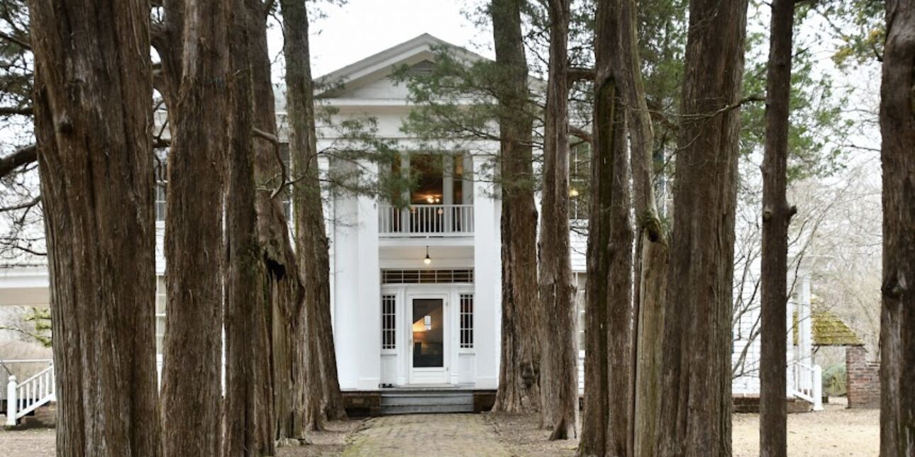 Picture of Rowan Oak 