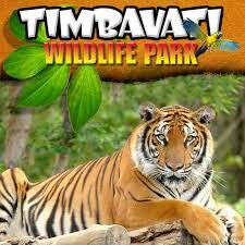 Picture of Timbavati Wildlife Park