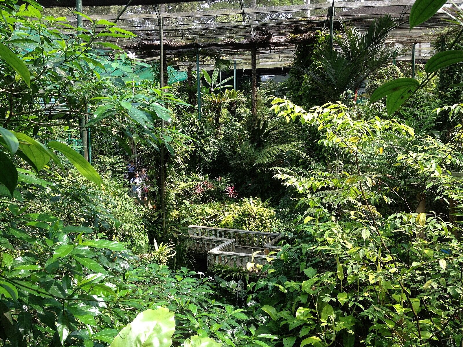 Picture of Kuala Lumpur Butterfly Park