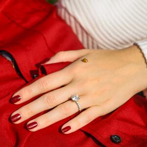 Gallery Photo 25