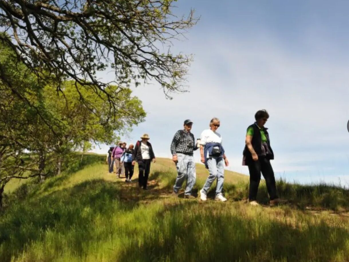 Picture of Callippe Preserve Trailhead