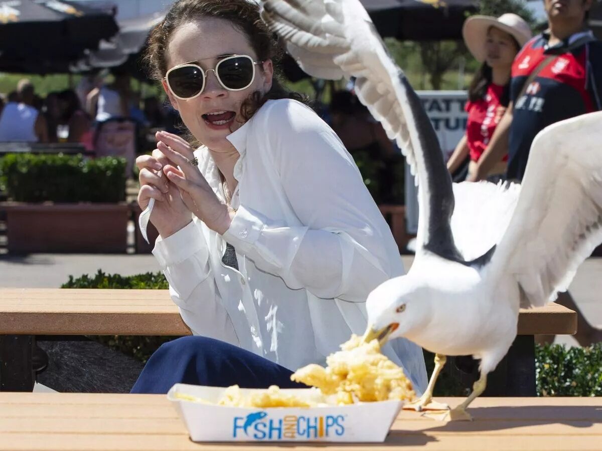 Picture of Eat Fish and Chips 