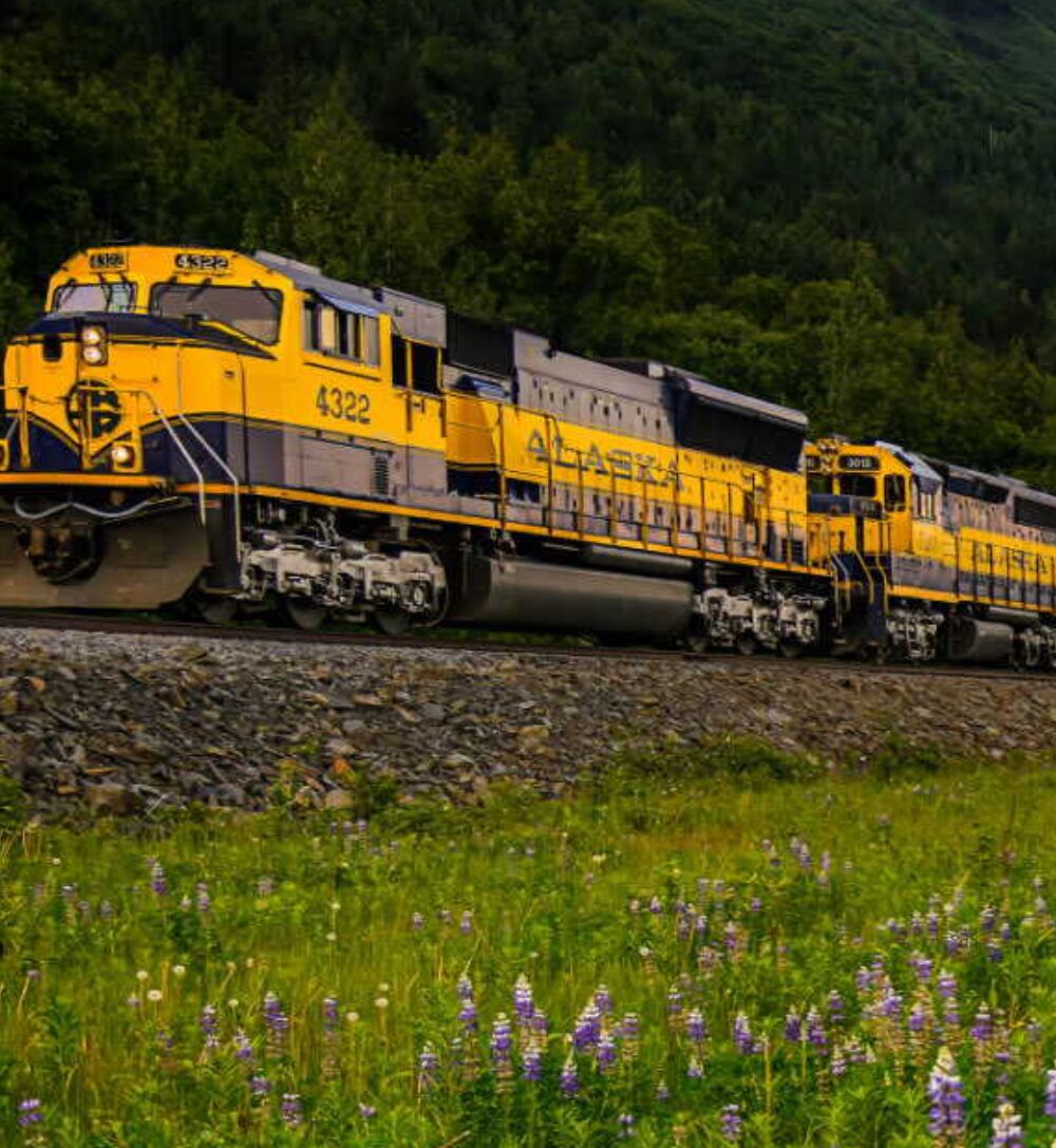 Picture of Denali Star Train via The Alaska Railroad