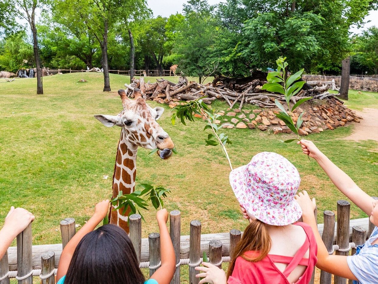 Picture of Fort Worth Zoo