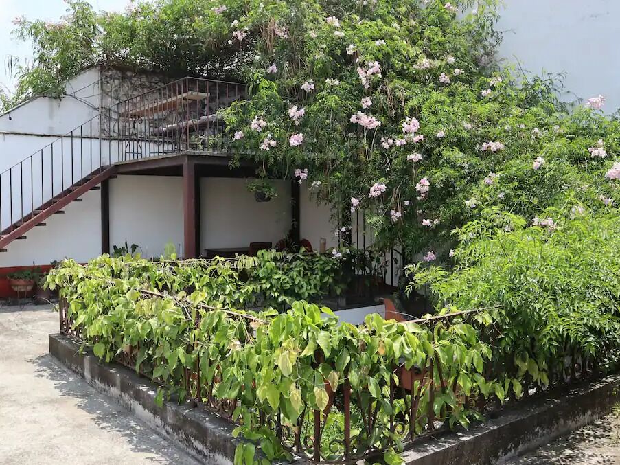 Picture of AirBnB - Complete House 3 blocks from Central Park 