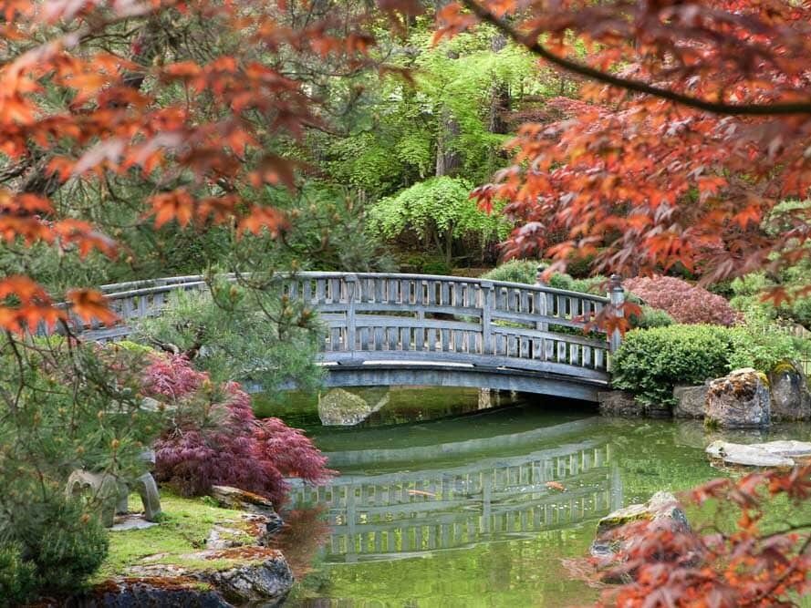 Picture of Manito Park