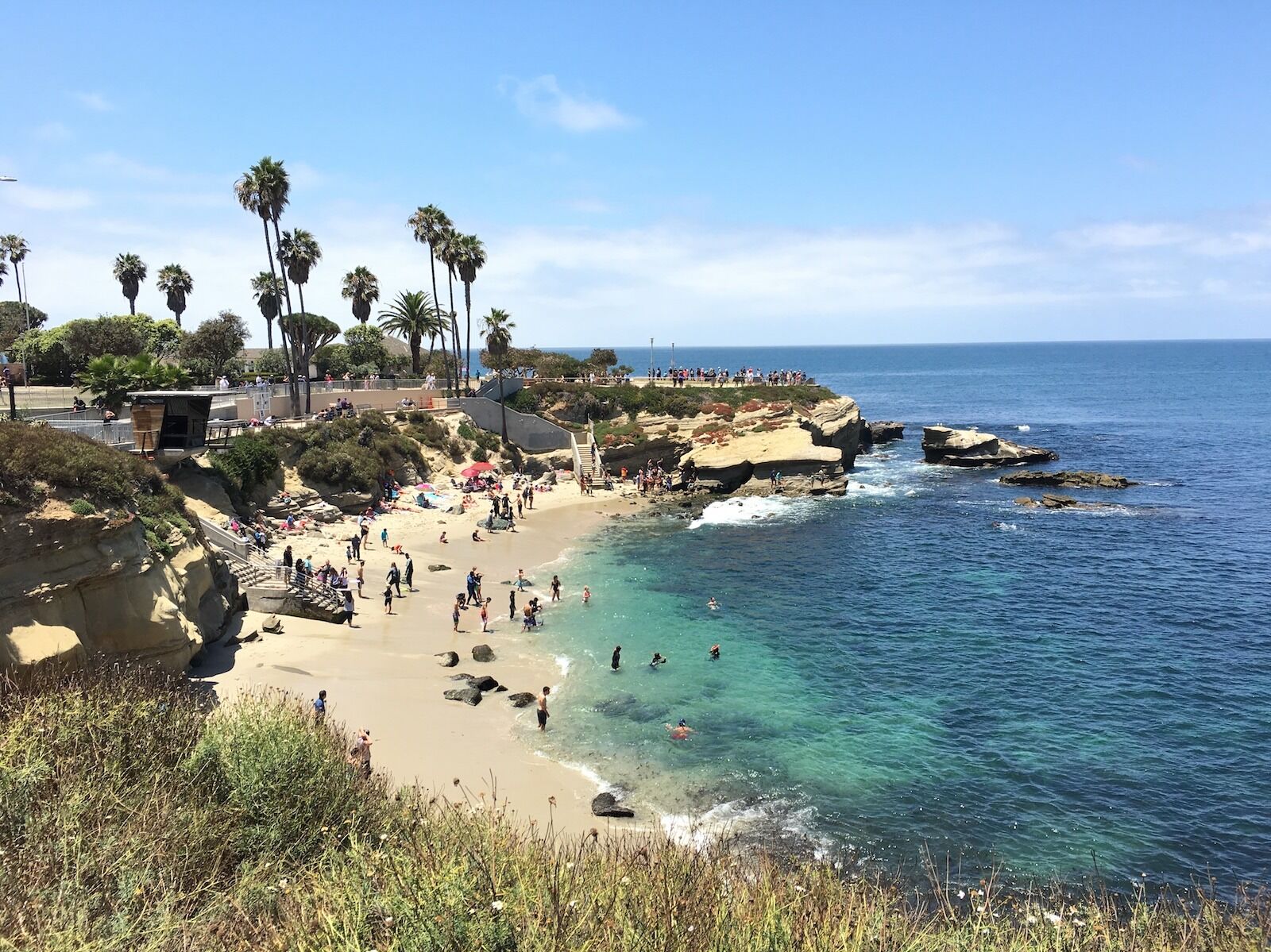 Picture of Lifeguard La Jolla Cove