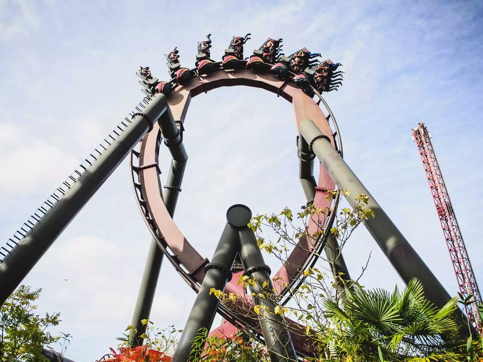 Picture of Thorpe Park