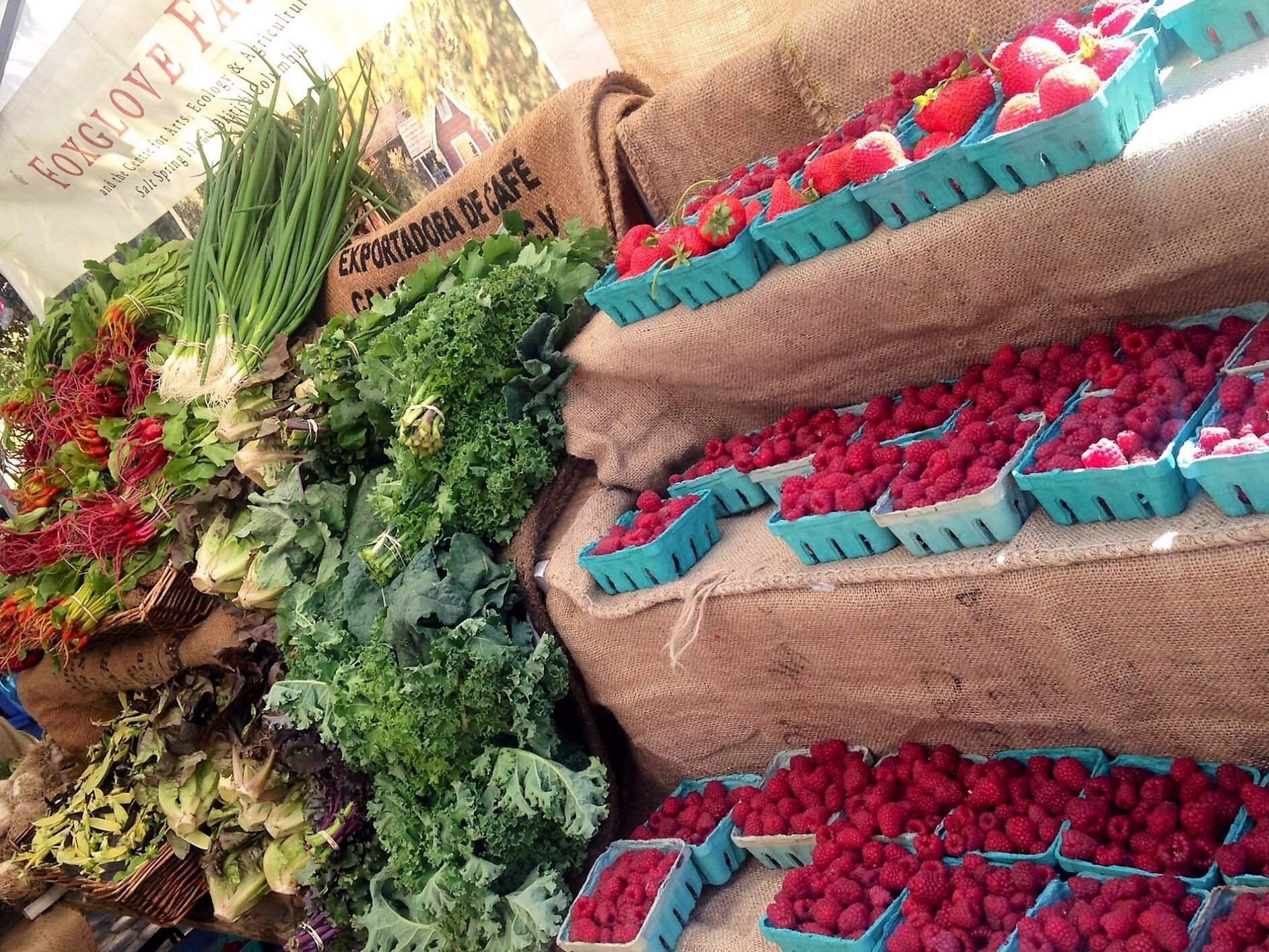 Picture of Salt Spring Saturday Market